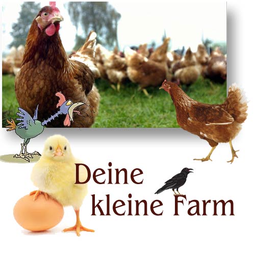 Farmtiere - Hühner